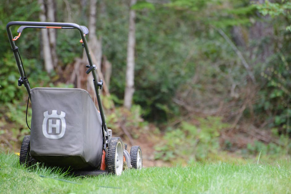 Stihl Battery Operated Leaf Blower