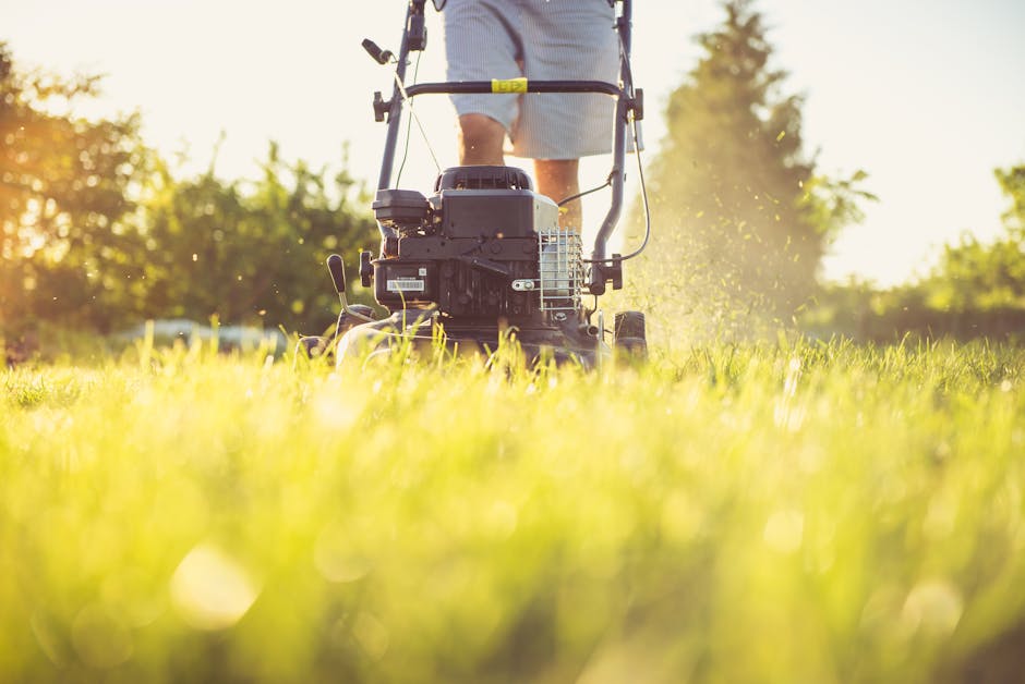 Dewalt Cordless Lawn Mower