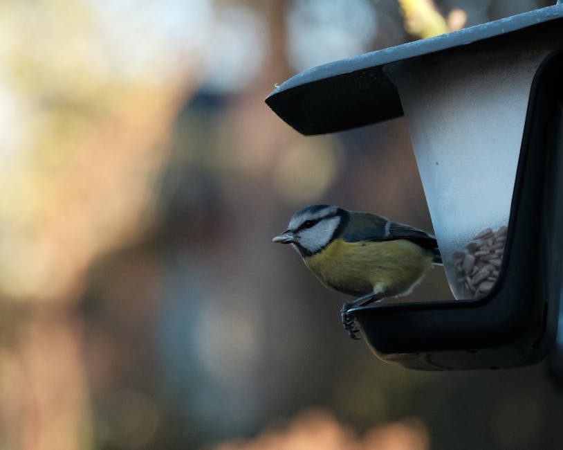 Bird Bath Pedestal