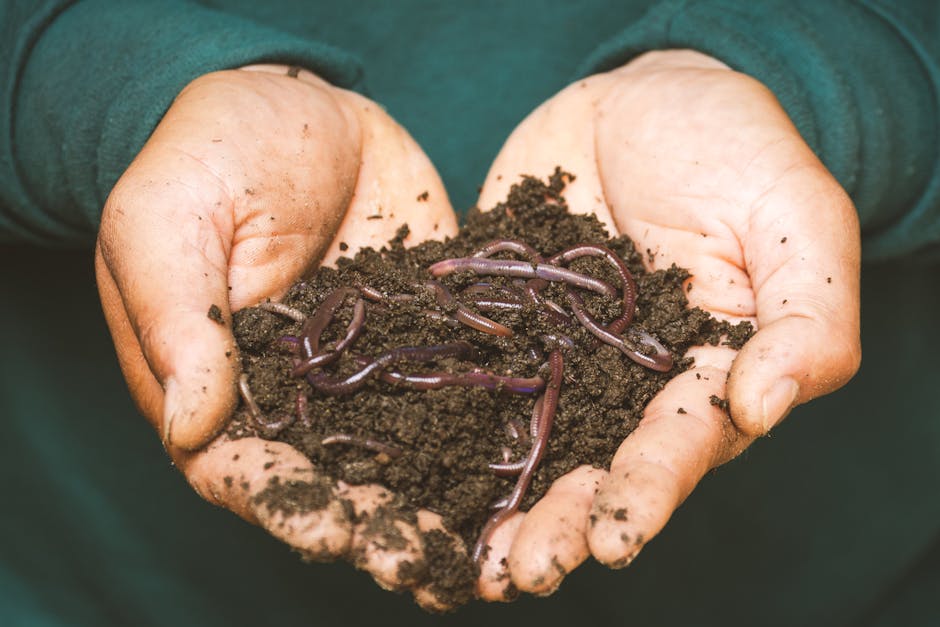 Black Compost Bin