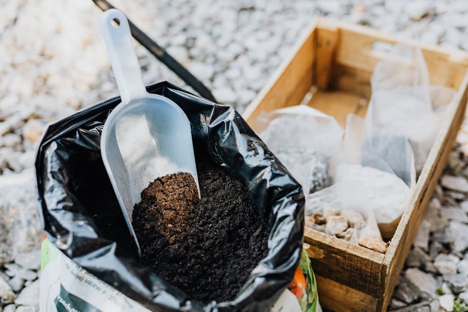 Where To Buy Worms For Compost