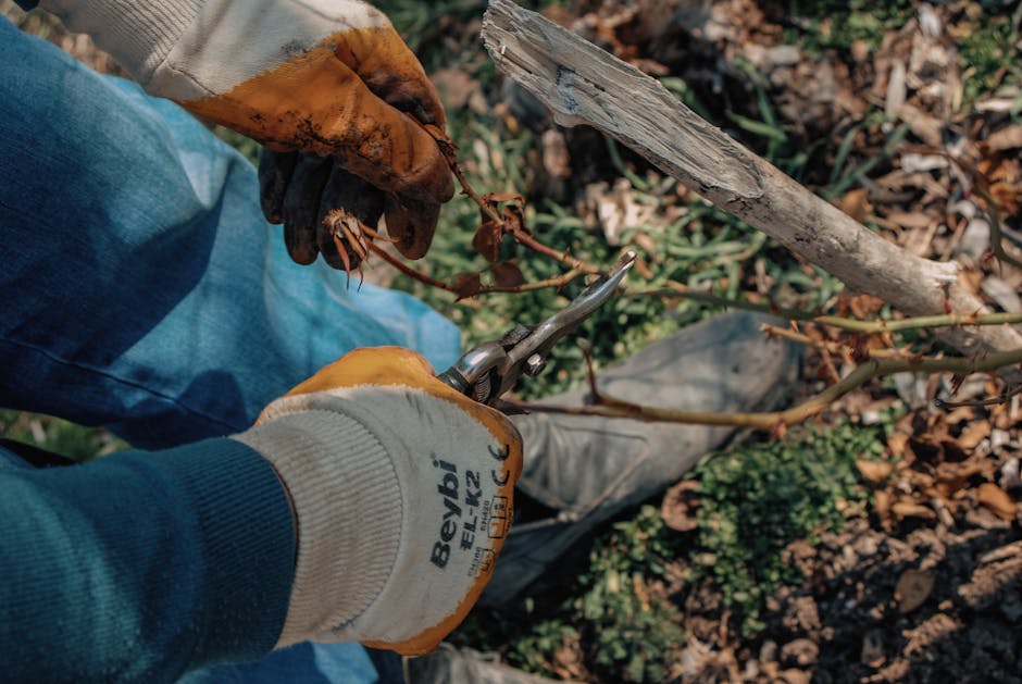 Garden Gloves Men