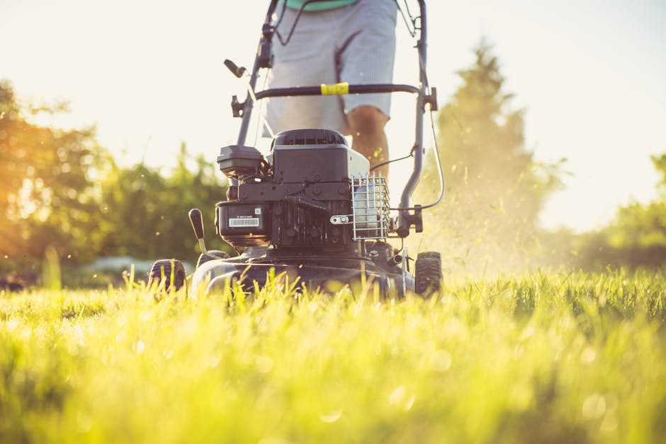 Walk Behind Lawn Vacuum