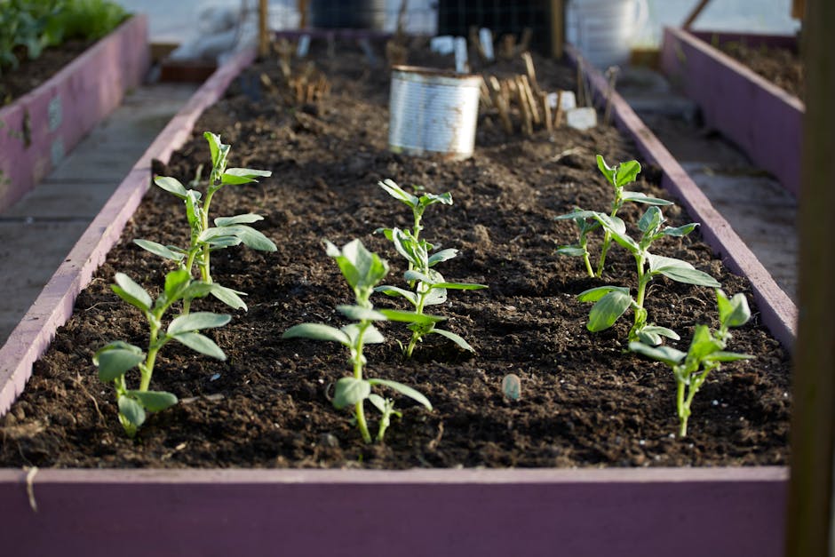 Metal Raised Garden Beds With Legs: Setup & Durability