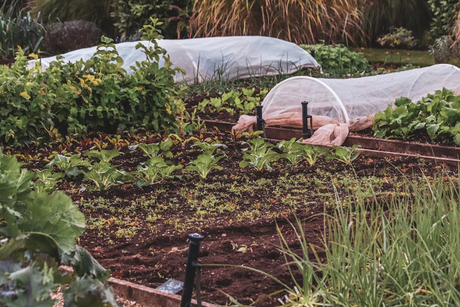 Vego Elevated Garden Bed Review: 2 Season Test