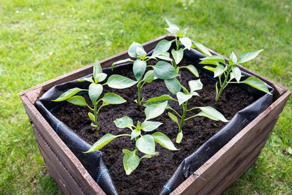 Vego vs VEGEGA Metal Raised Garden Beds: Key Differences