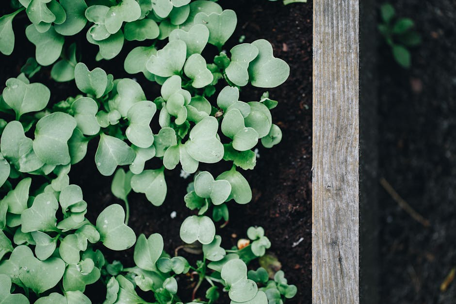 Cedar Raised Garden Bed Kit Review: Greenes Fence 4x8