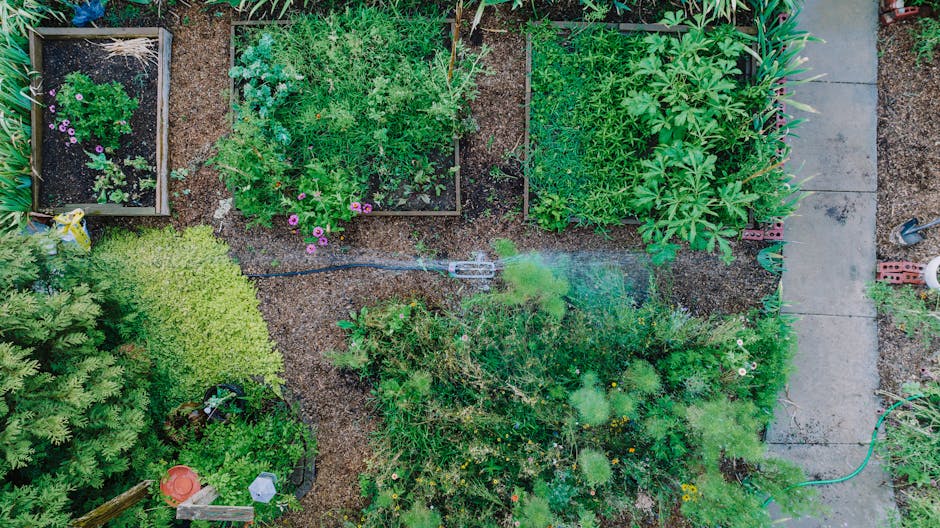 Vego Garden vs VEGEGA: Modular Metal Raised Bed Comparison